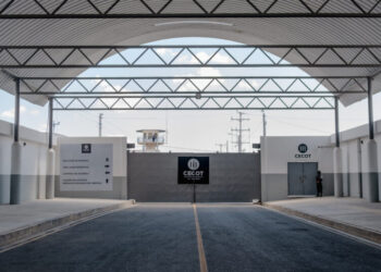 Appeals Court Weighs Trump’s Effort to Use War Power for Deportations