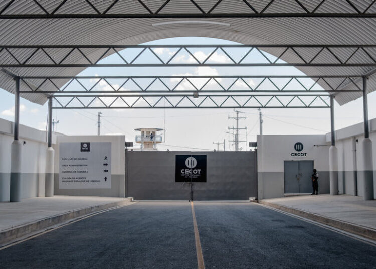 Appeals Court Weighs Trump’s Effort to Use War Power for Deportations