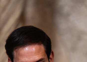 D.H.S. Cited Foreign Students’ Writings and Protests Before Their Arrests