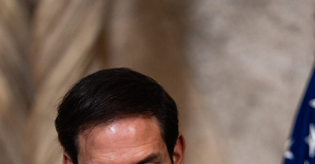 D.H.S. Cited Foreign Students’ Writings and Protests Before Their Arrests