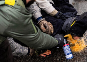 Pepper-Sprayed While Pinned Down: A Searing Scene Provokes Outrage