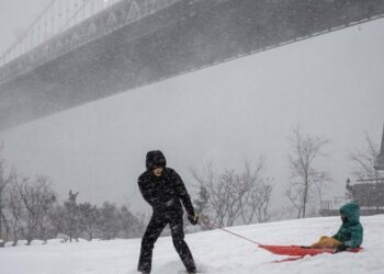 How Do You Feel About Snowstorms?