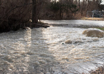 Millions of Gallons of Raw Sewage Spill Into the Potomac River