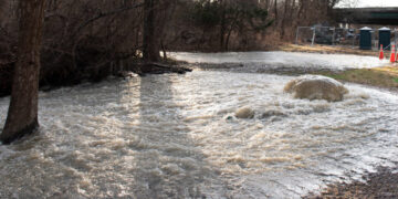 Millions of Gallons of Raw Sewage Spill Into the Potomac River