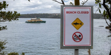 Australian Boy, 12, Dies After Shark Attack Near Sydney