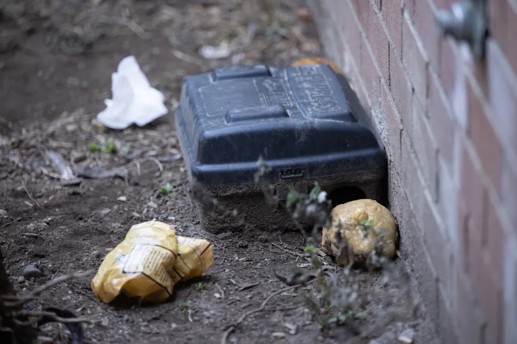 A black rat trap sits next to a brick building, surrounded by garbage.
