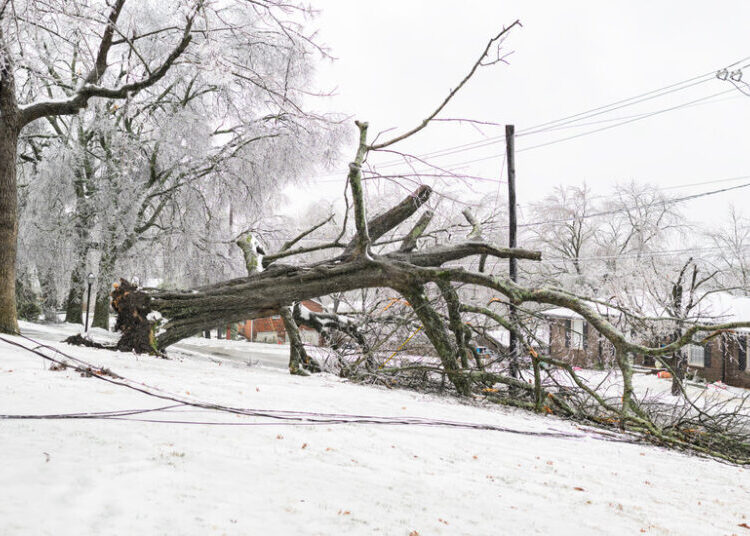 Power Outages Could Rise as Freezing Temperatures Persist