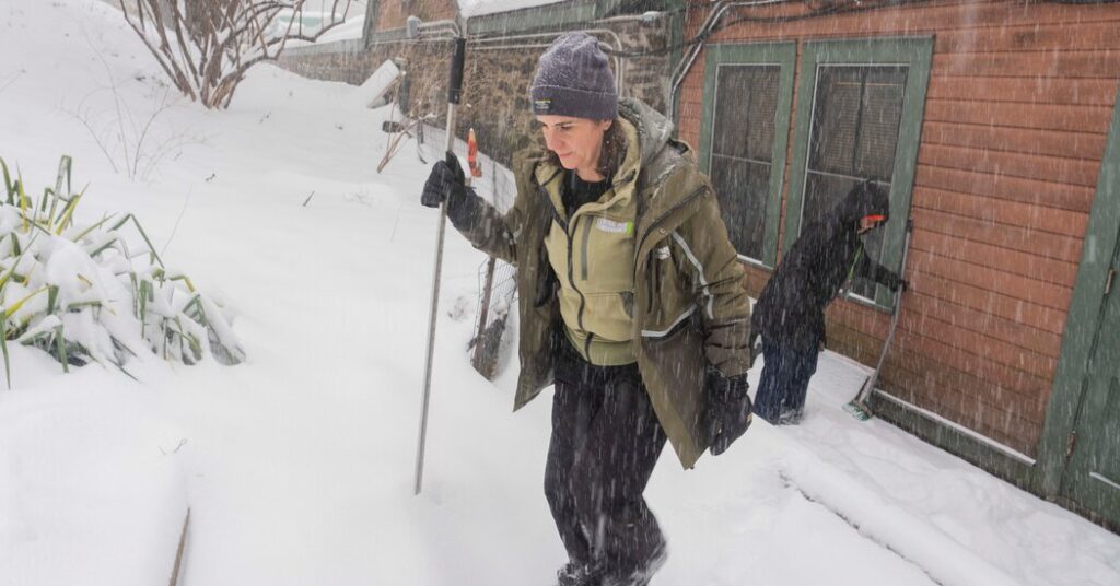 How Many Inches of Snow Fell? She Has a Measuring Stick.