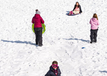 No Snow Day? In New York City Parks, It Felt Like One.