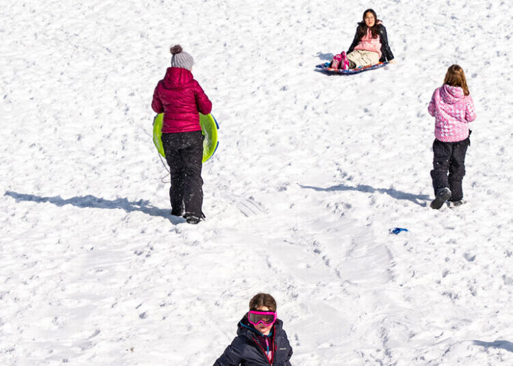 No Snow Day? In New York City Parks, It Felt Like One.