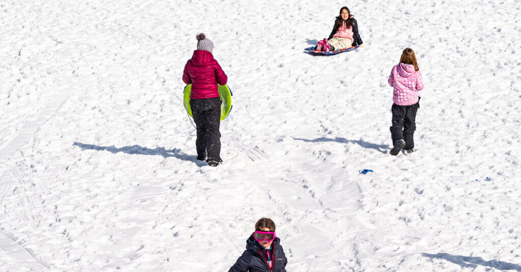 No Snow Day? In New York City Parks, It Felt Like One.