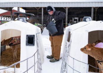 Winter Storm Will Plunge Much of the U.S. Into Intense Cold