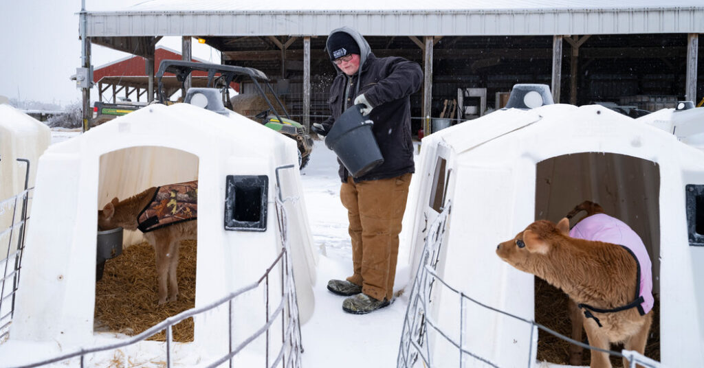 Winter Storm Will Plunge Much of the U.S. Into Intense Cold