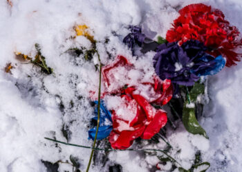 Trump’s Fantasies Are Killing Us