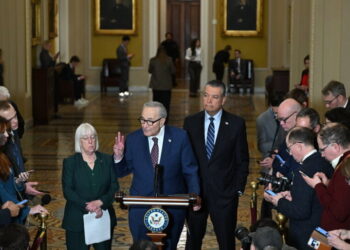 Democrats Demand Unmasked Agents, New Limits to Fund D.H.S.