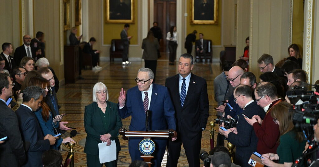 Democrats Demand Unmasked Agents, New Limits to Fund D.H.S.