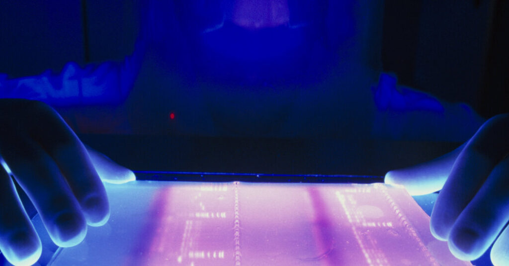 Researchers Are Using A.I. to Decode the Human Genome