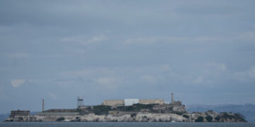 Escape to Alcatraz: Coyote Swims a Mile in Search of New Turf