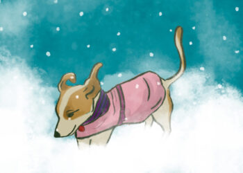 Ask a Vet: Does my dog need a coat?