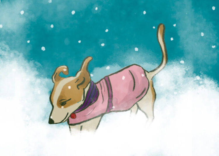 Ask a Vet: Does my dog need a coat?