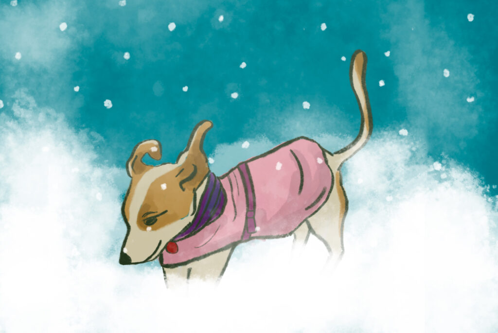 Ask a Vet: Does my dog need a coat?