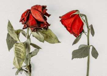 3 Signs You’re in a Dead Relationship and Should Probably Just End It