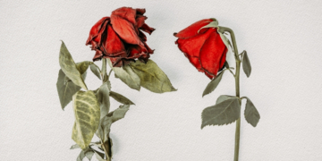 3 Signs You’re in a Dead Relationship and Should Probably Just End It