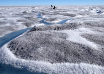 Something Dark Is Growing on Greenland’s Ice. And Melting It Faster.