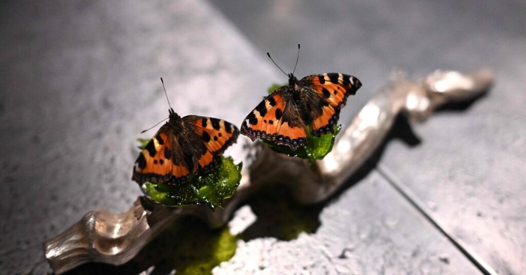Can Food Be Art? Denmark Is Finding Out.