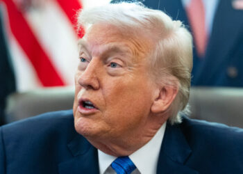 Trump’s Lawsuit Against I.R.S. Creates ‘Enormous Conflict of Interest’