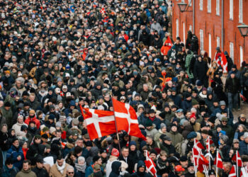 ‘We’ve Fought Side by Side’: Danish Veterans March Against Trump’s Comments