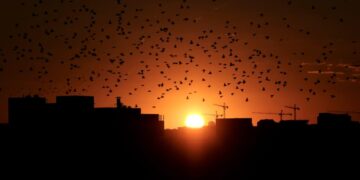 Sunset time approached 5 p.m. in Washington