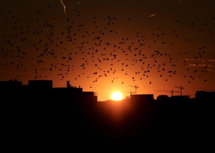 Sunset time approached 5 p.m. in Washington