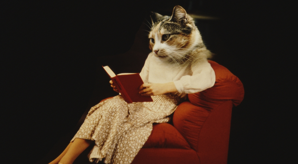 4 Self-Care Books to Read When You’re Trying to Be Kinder to Yourself