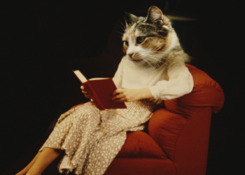 4 Self-Care Books to Read When You’re Trying to Be Kinder to Yourself