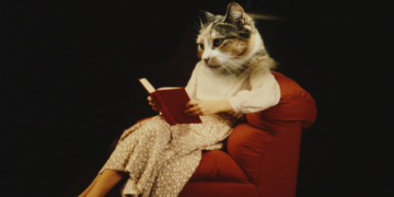 4 Self-Care Books to Read When You’re Trying to Be Kinder to Yourself