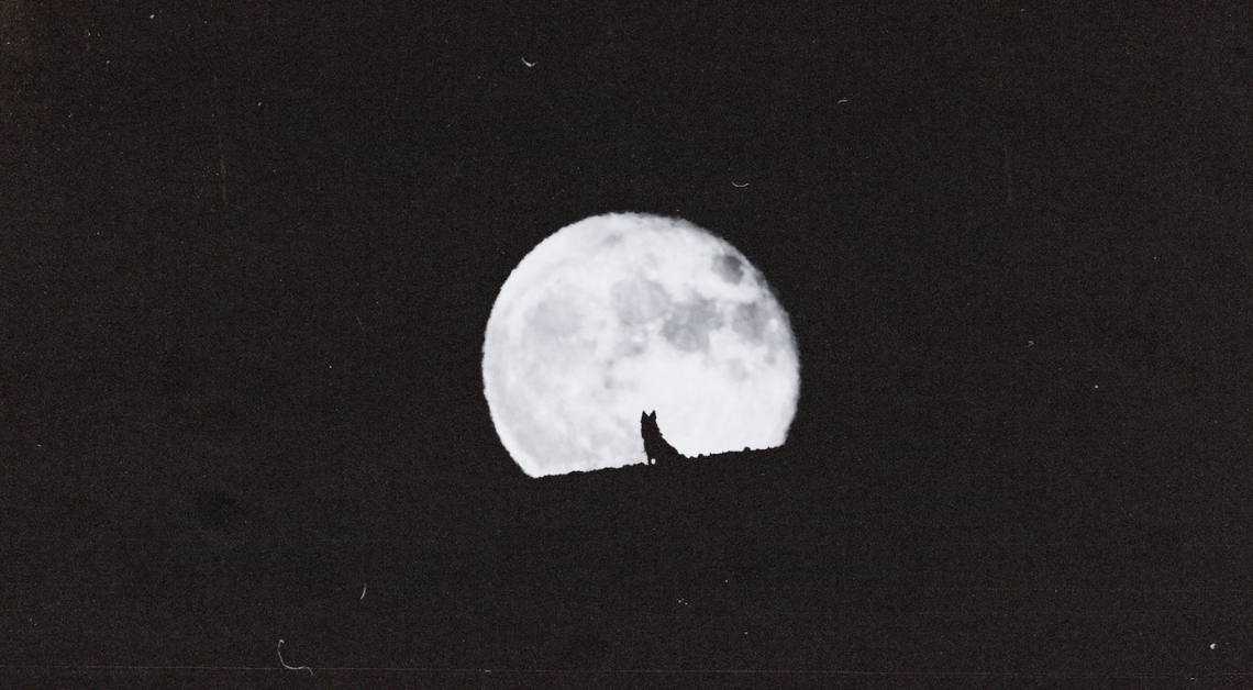 4 Zodiac Signs Affected Most by the Coming Wolf Moon in Cancer