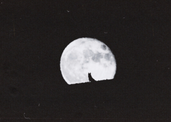 4 Zodiac Signs Affected Most by the Coming Wolf Moon in Cancer