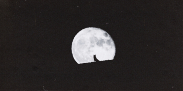 4 Zodiac Signs Affected Most by the Coming Wolf Moon in Cancer