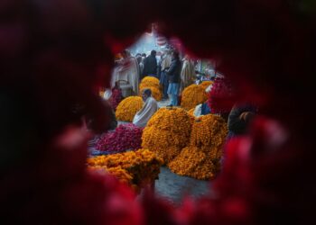 At Pakistan’s Afghan border, a trade shutdown empties markets