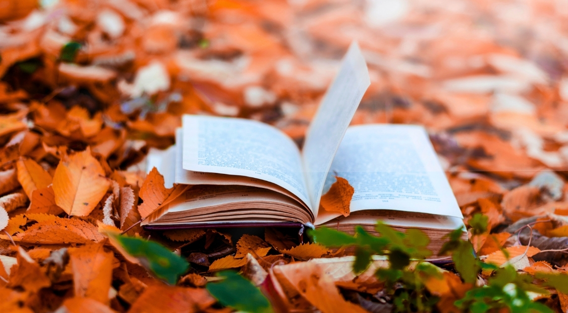5 Cozy Books for People Who Love Autumn Vibes