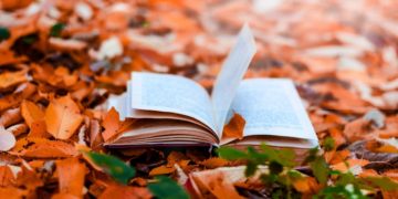 5 Cozy Books for People Who Love Autumn Vibes