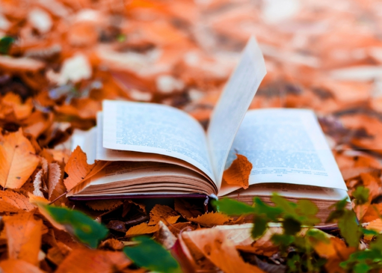 5 Cozy Books for People Who Love Autumn Vibes