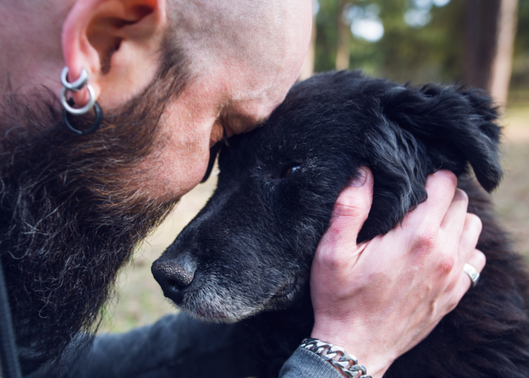 5 Habits of Dog Owners That Other People Think Are Weird