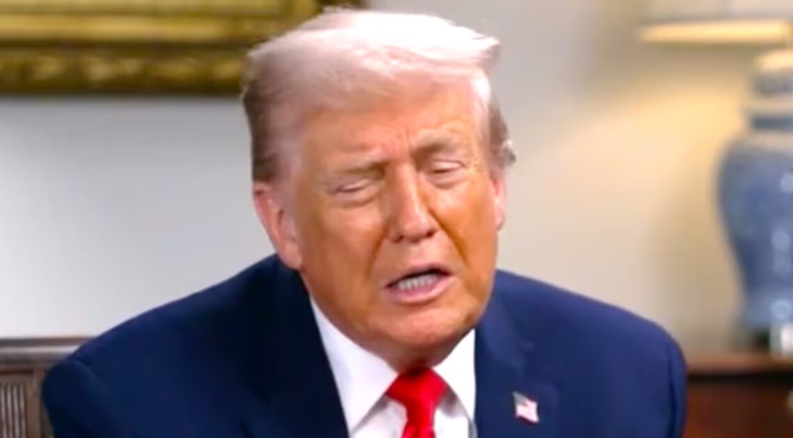 Trump, 79, Rambles About Sinks and Straws When Asked About His 2026 Agenda