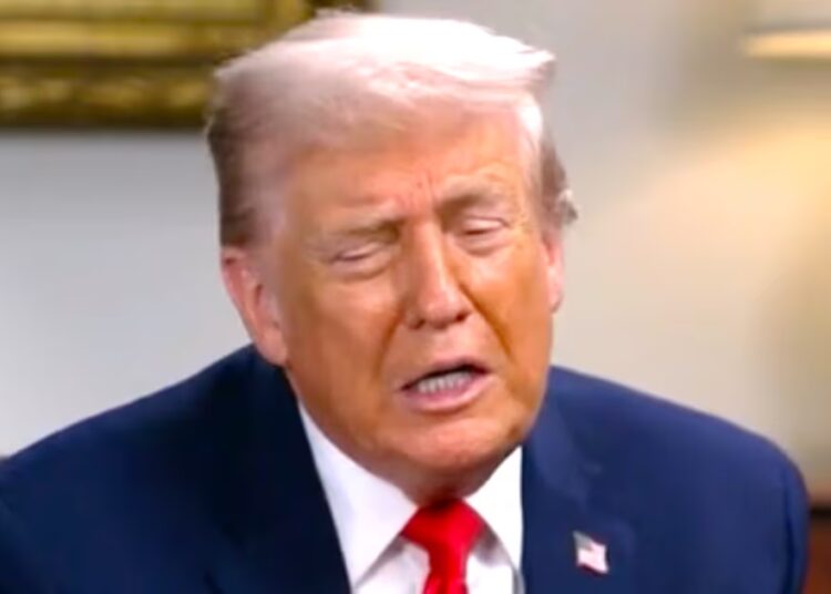 Trump, 79, Rambles About Sinks and Straws When Asked About His 2026 Agenda