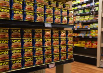 Why are malnutrition deaths soaring in America?