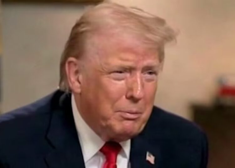 Trump Hurt That His Favorite Dem Was Mean About His Invasion