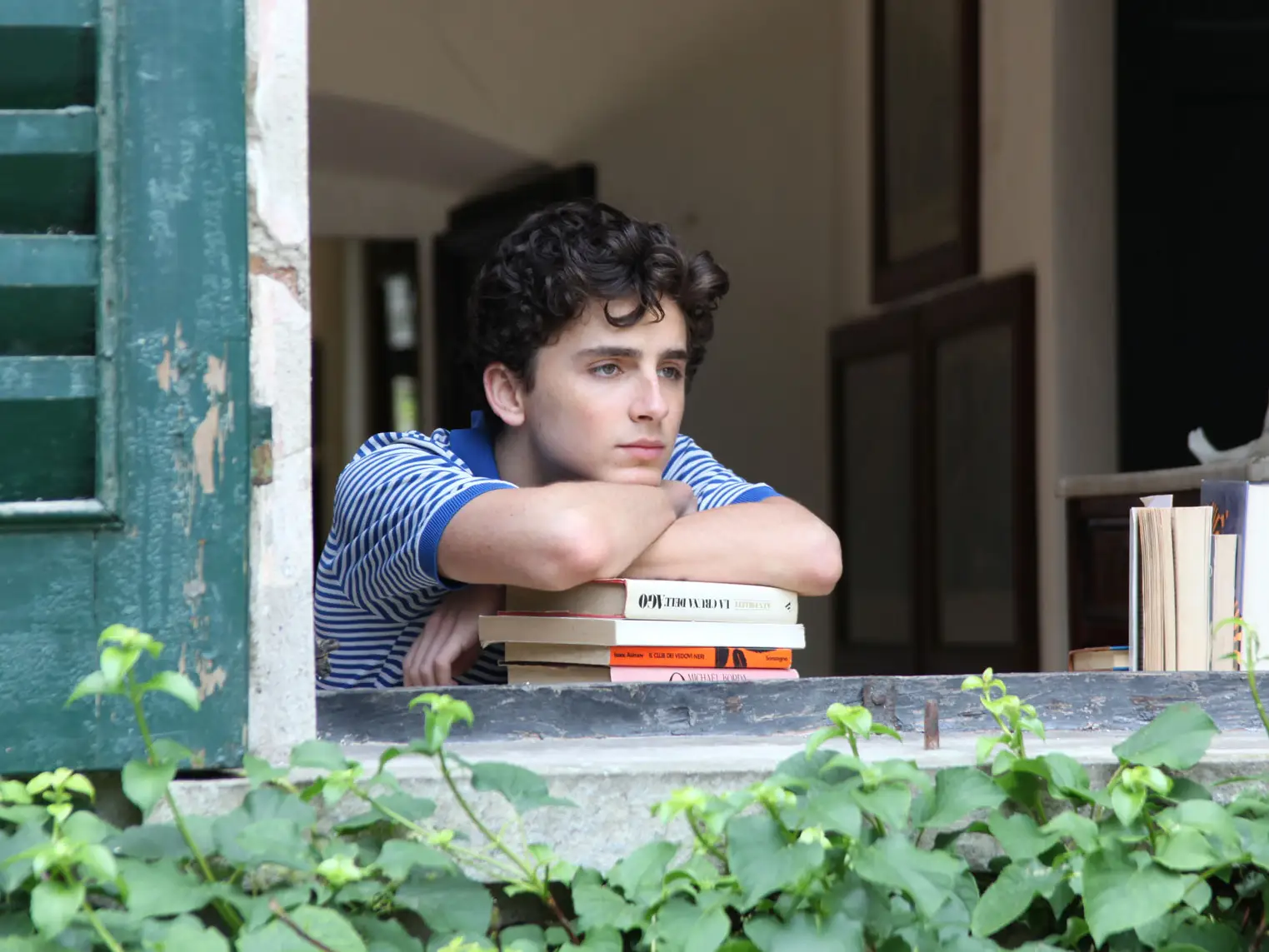 call me by your name timothee chalamet elio