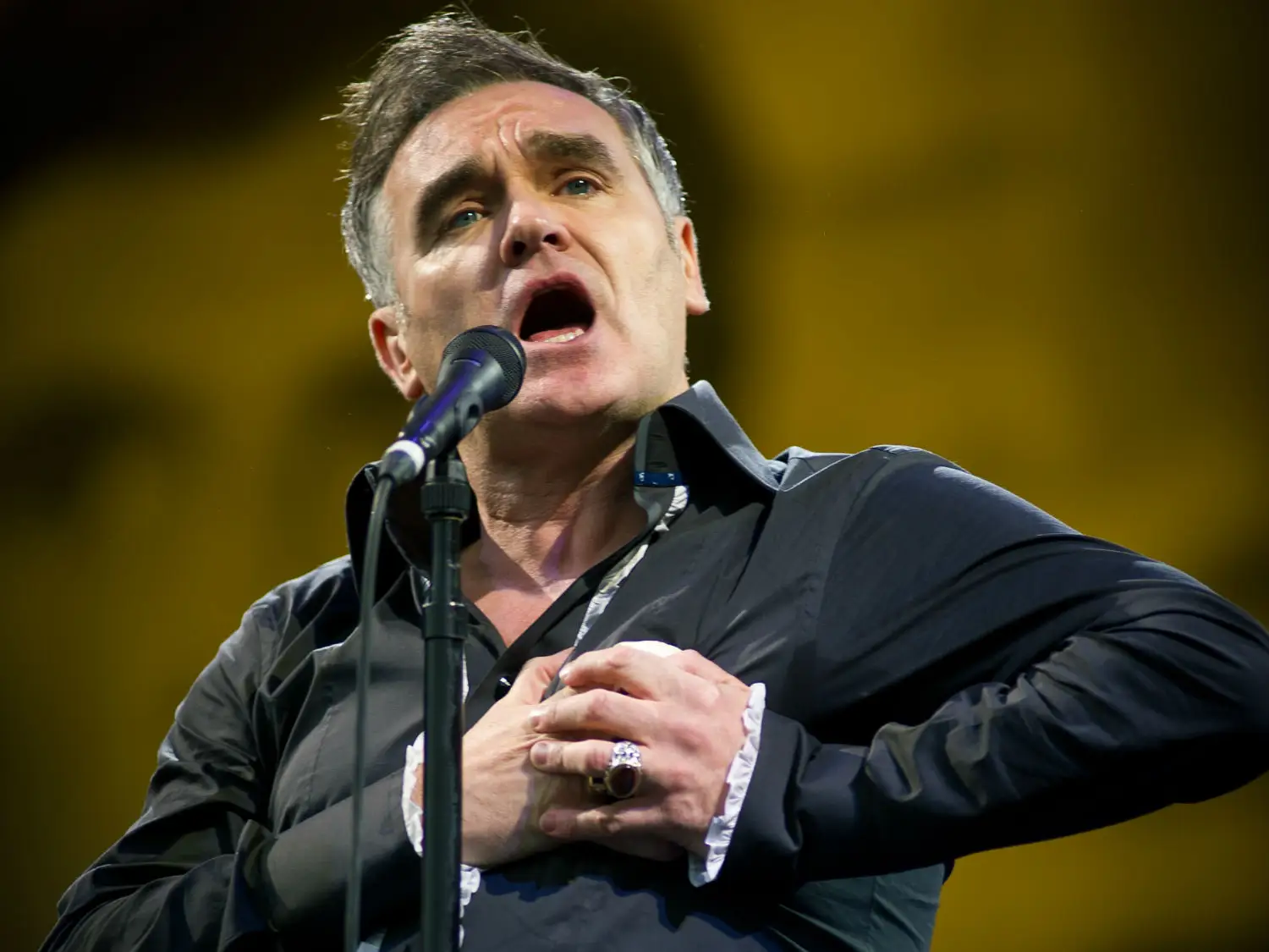 morrissey